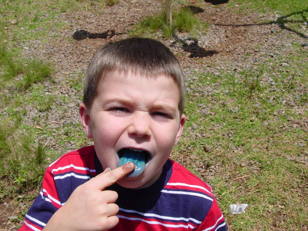 Drew's blue  tongue