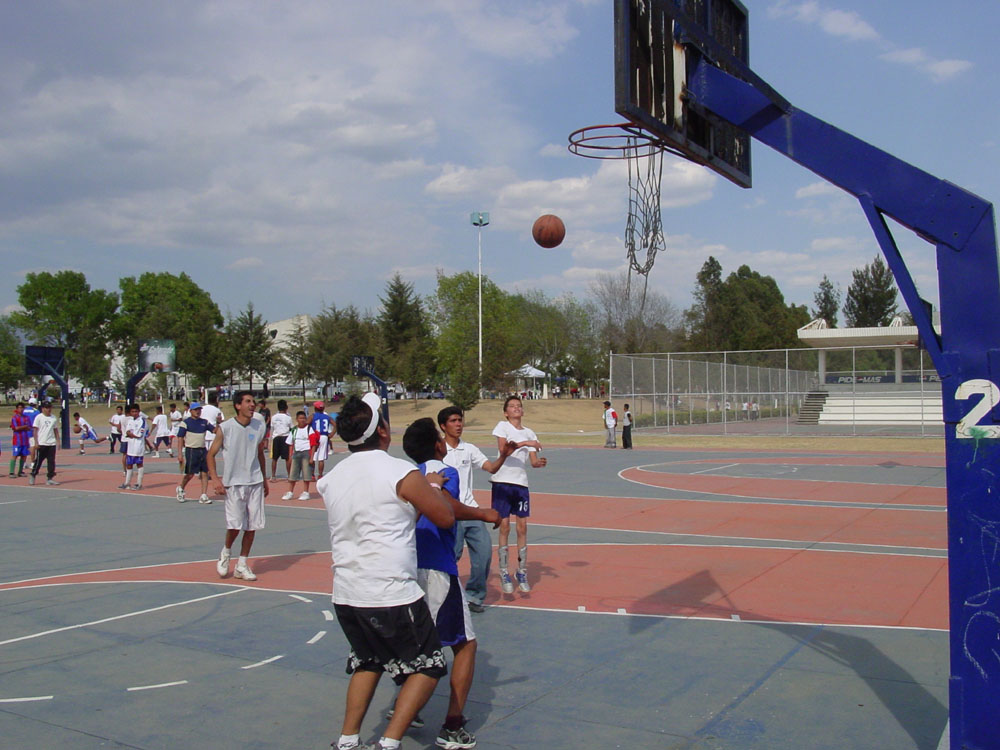 Guys Basketball - Basketbol Masculino