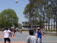 Volleyball - volibol