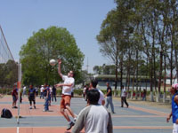 Volleyball - volibol