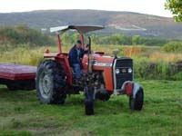 DrewyTractor_Jul28,2005 006